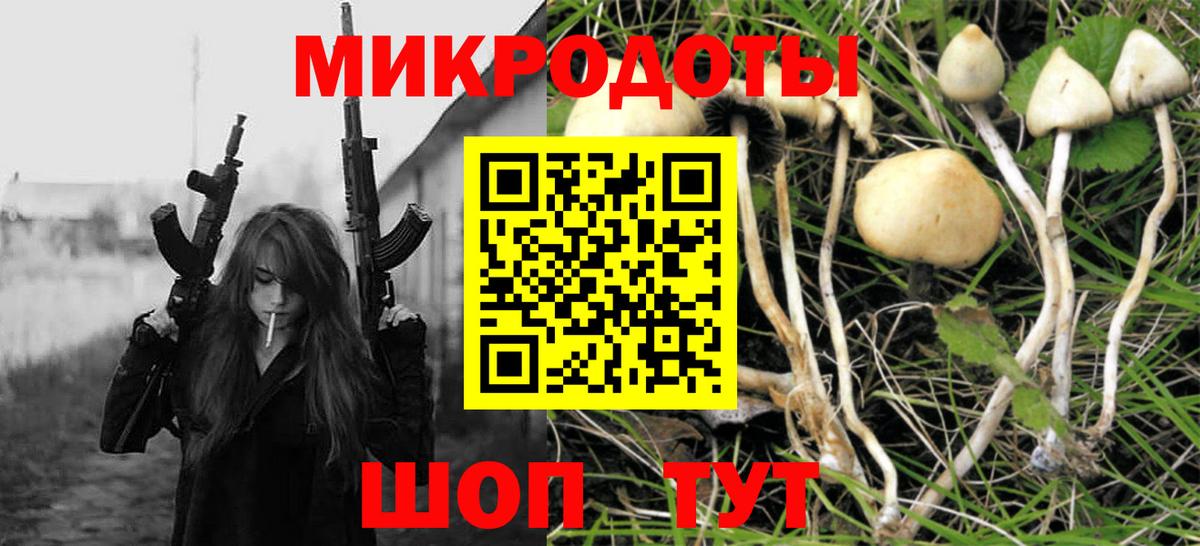 Псилоцибиновые грибы Psilocybe Самара
