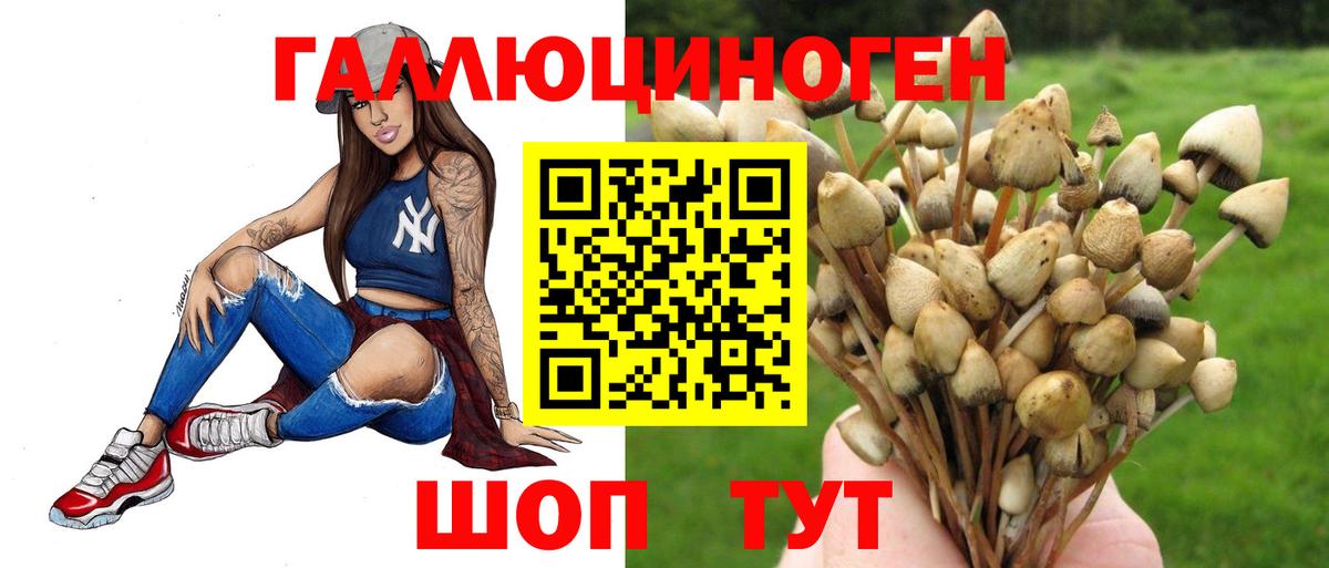 Галлюциногенные грибы ЛСД  Псилоцибиновые грибы GOLDEN TEACHER  Вход с VPN  цены наркотик  Самара 